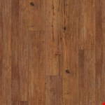Carolina Pine VV023-00501