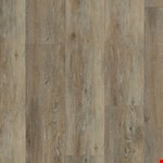 Blackstone Oak VV024-00707