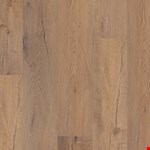 Sand Dollar VV810-5024