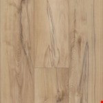 Imperial Beech 00185