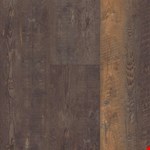 Autumn Barnboard 00689