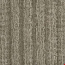 Shaw Kudos: Brilliant  24