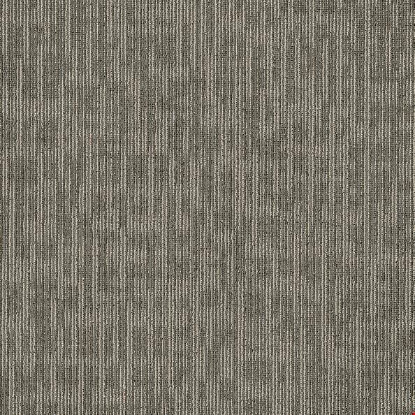 Shaw Genius: Masterful  24" x 24" Carpet Tile 54844 44505
