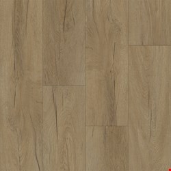 Happy Feet Perseverance Collection: Sand 9