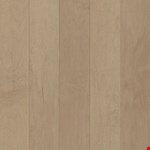 Mountain Ice APM2407