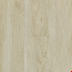 Robbins Pro-Tekt Classic Pro: Luxe Living 5 mm Rigid Core Luxury Vinyl Plank with attached pad PPRM002EC