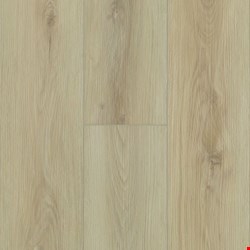 Robbins Pro-Tekt Classic Pro: Mindful Pale 5 mm Rigid Core Luxury Vinyl Plank with attached pad PPRK003EC