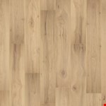 Caramelized PSR09-02