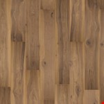 Cocoa Mocha PSR09-04