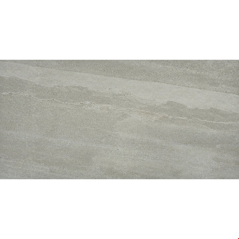 Emser Access II: Tour 12" x 24" Porcelain Tile F23ACCETO1224