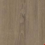 Plus Premium XL: Grande Ellidy Oak VV662-04029