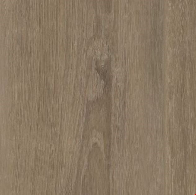 USFloors Coretec Plus Premium XL: Grande Ellidy Oak Engineered Luxury Vinyl Plank VV662-04029