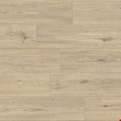 Responsive Allure: Cedar Falls SPC Luxury Vinyl Plank ALLCDFL12