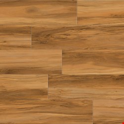Responsive Allure: White River Hickory SPC Luxury Vinyl Plank ALLWHRV16