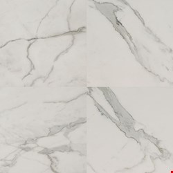 MS International Regallo: Calacatta Isla 24