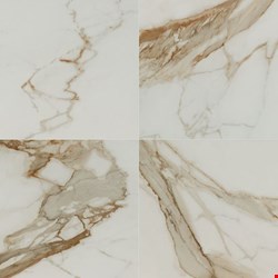 MS International Regallo: Calacatta Marbella 24