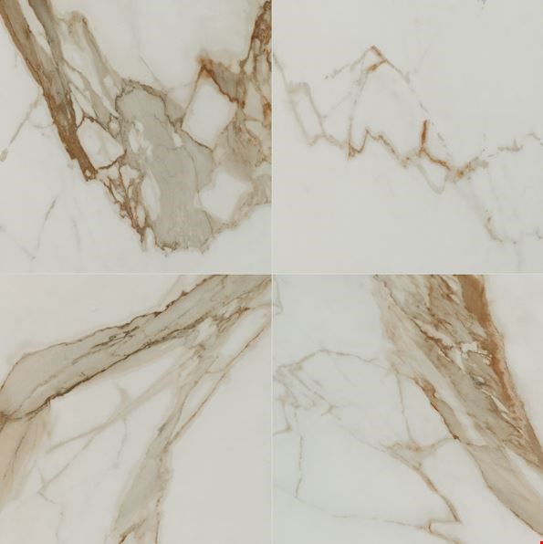 MS International Regallo: Calacatta Marbella 24" x 24" Polished Porcelain Tile NREGCALMAR2424P