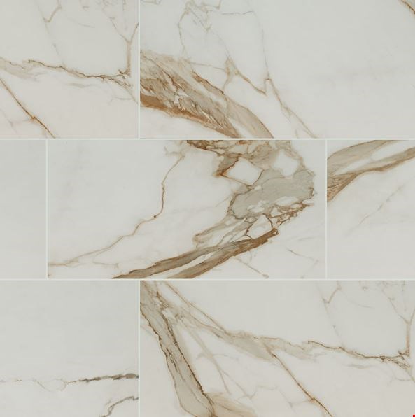 MS International Regallo: Calacatta Marbella 24" x 48" Matte Porcelain Tile NREGCALMAR2448