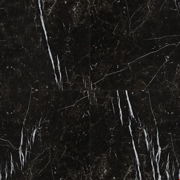 MS International Regallo: Marquina Noir 24" x 24" Matte Porcelain Tile NREGMARNOI2424