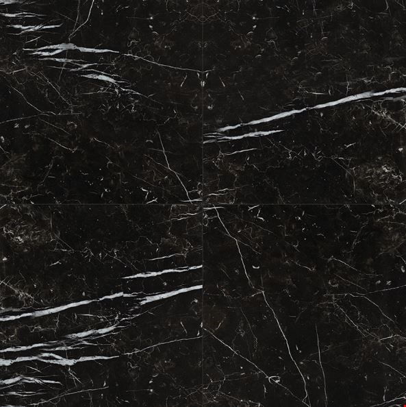 MS International Regallo: Marquina Noir 24" x 24" Polished Porcelain Tile NREGMARNOI2424P