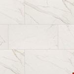 Venato Polished NKAYCALVEN2448P