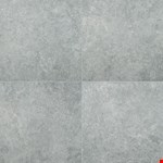 Lunar Silver NLUNSIL2424