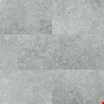 Lunar Silver NLUNSIL2448