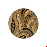 Gold (S3283A235RDST) Round 7'8" 7'8"