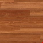 Auburn Spotted Gum SCB144