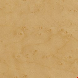 Mannington Commercial Teres: Cashmere 24