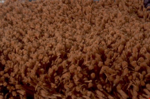 Momeni Comfort Shag (CSHAGCS-10RST3050) Rectangle 0'8" x 3'0" Area Rug