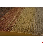 (DEGABDG-04MTI5380) Rectangle 5'3"