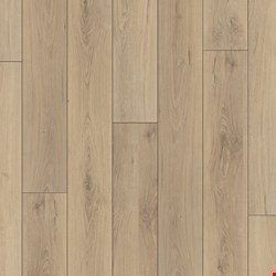 Happy Feet Regency: Windsor 7