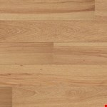 Arroyo Hickory Hickory HPAR9378