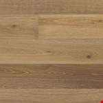 Santa Monica NP537OSM