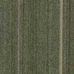 Pentz Revival: Scoop 24