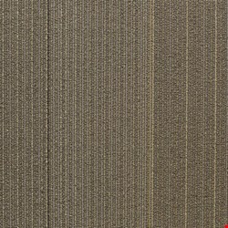 Shaw Disperse: Flutter 24