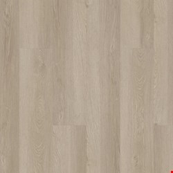 Shaw Floorte Pro Infinite SPC: Pampas Luxury Enhanced Vinyl Plank with Attached Pad 3100V 2029