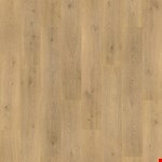 Tulip Shell CDL05-248