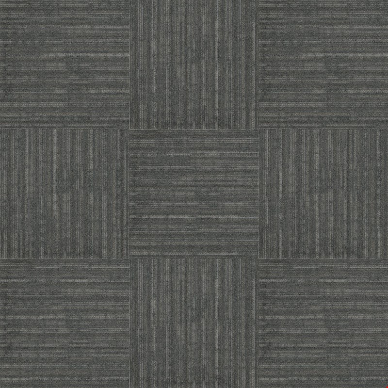Patcraft Logic 24"x24" Carpet Tile: Intellect I0460 00550