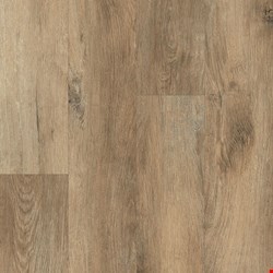 Paramount Signature WPC: Bison 9