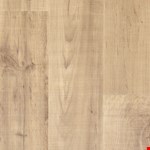 Maple Sapling PTL05-449