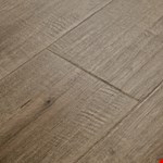 Coventry Forest MPB782