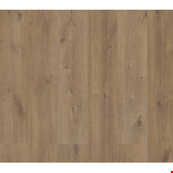 Paramount Flooring Timbrcore Sequoia: Eagle Scout 10mm Laminate TC72014