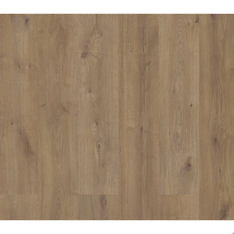 Paramount Flooring Timbrcore Sequoia: Eagle Scout 10mm Laminate TC72014