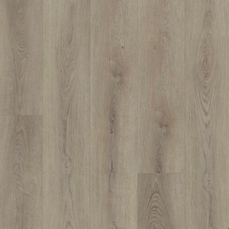 Shaw Floorte Paladin Plus: Toasted Taupe Luxury Enhanced Vinyl Plank with Attached Pad 0278V 5218