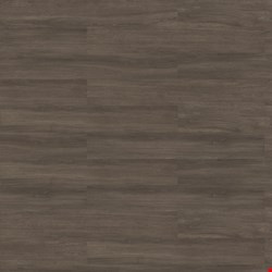 Shaw Abide & Inhabit: Anise Oak Luxury Vinyl Plank 4107V-07570