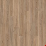 Andes Summit CBVVCG10AS