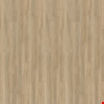 Springtime CBVVCG10ST