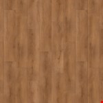 Van Cortland CBVVCG10VC